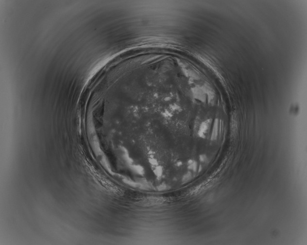 X0000088850925200706291451