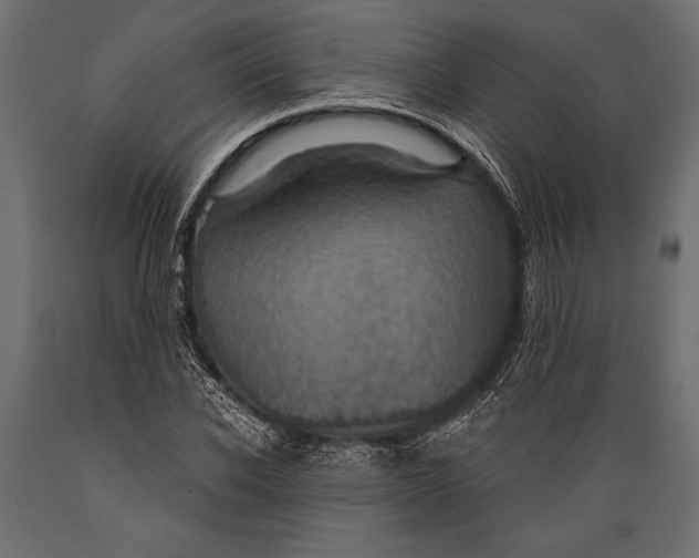 X0000088850926200706291451