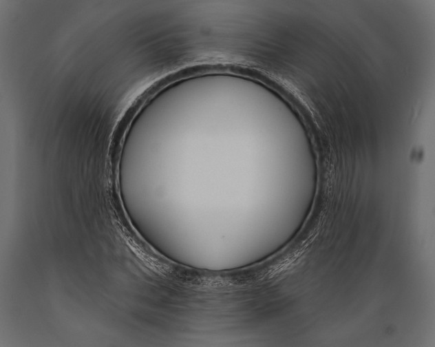 X0000088850927200706291452