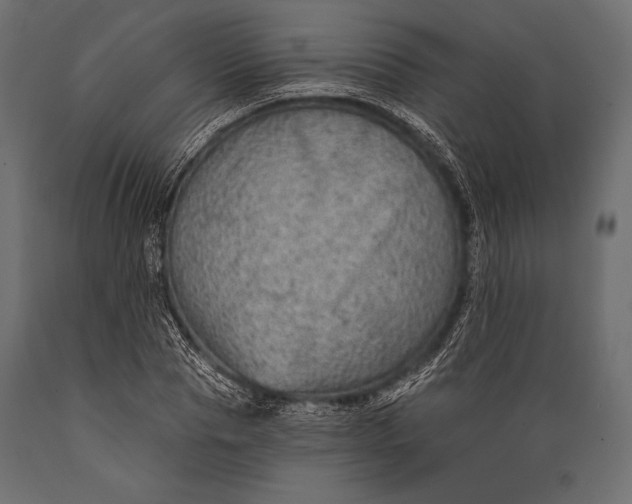 X0000088850929200706291452