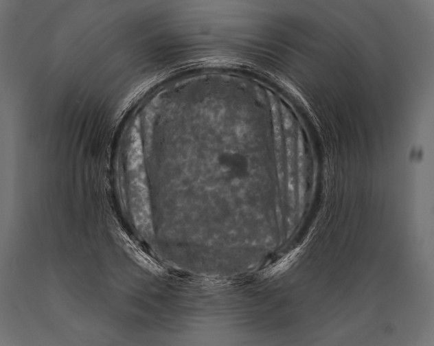 X0000088850930200706291452