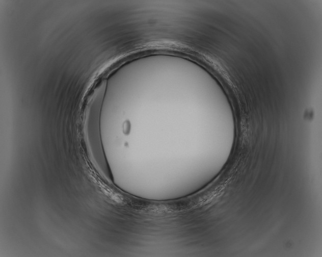 X0000088850931200706291452