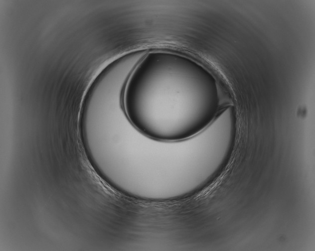 X0000088850932200706291452