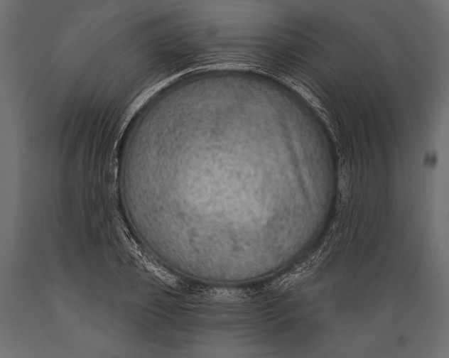 X0000088850933200706291452