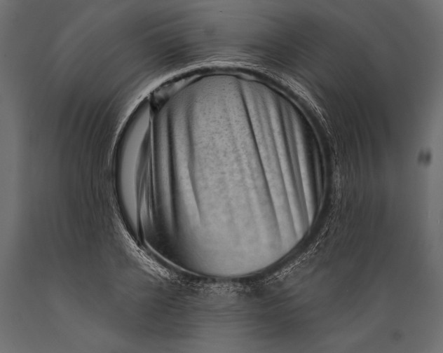 X0000088850934200706291452