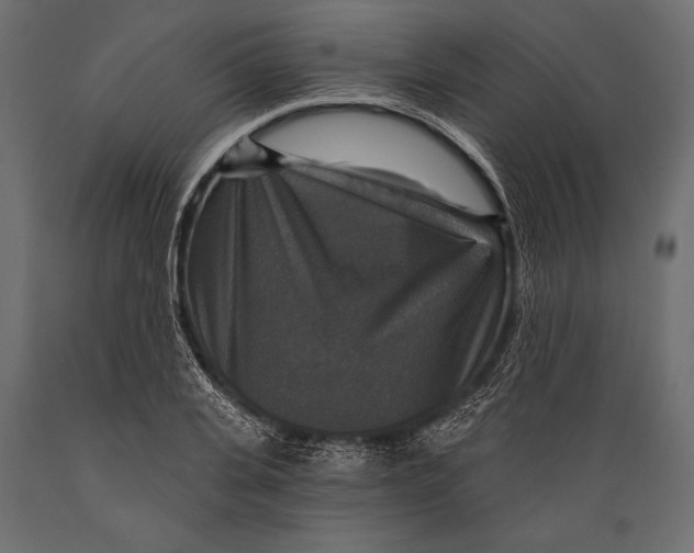 X0000088850935200706291452