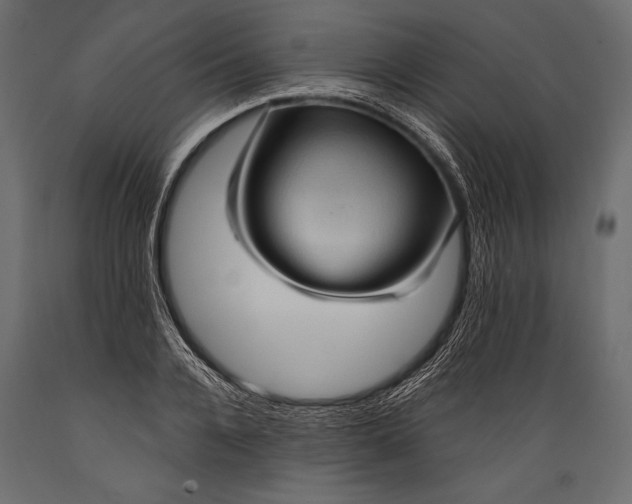 X0000088850936200706291452