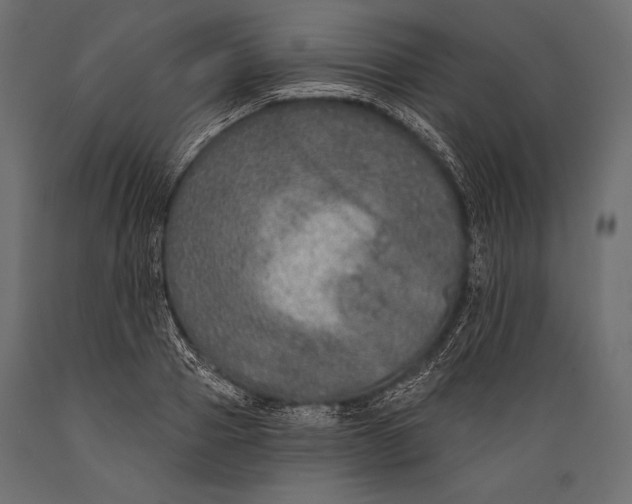 X0000088850937200706291452