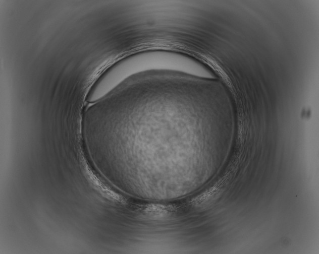 X0000088850938200706291452