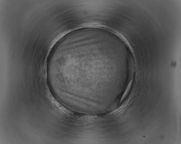 X0000088850939200706291452