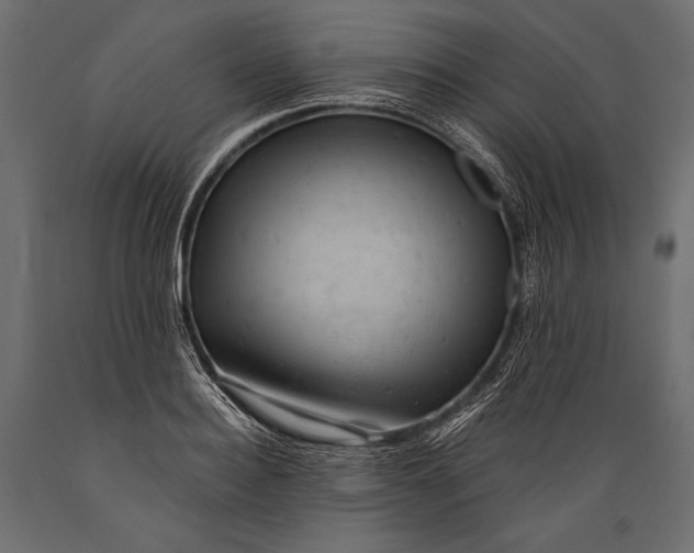 X0000088850940200706291452