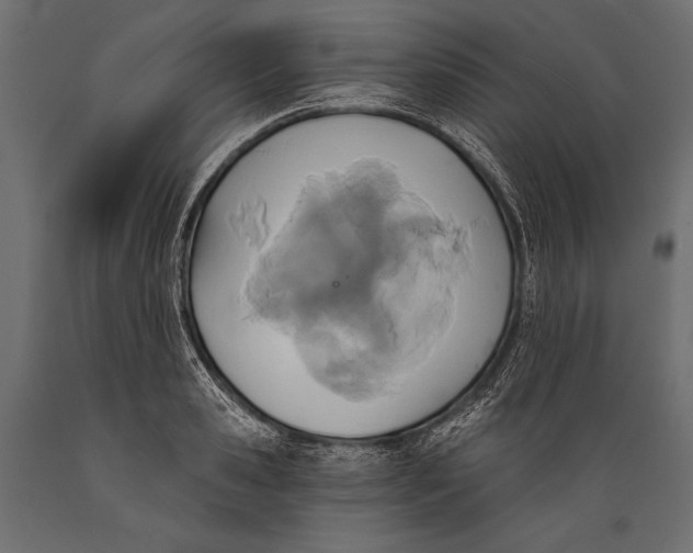 X0000088850941200706291452