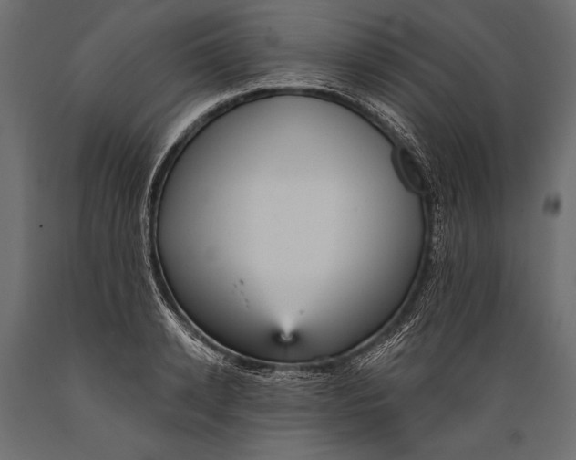 X0000088850942200706291452