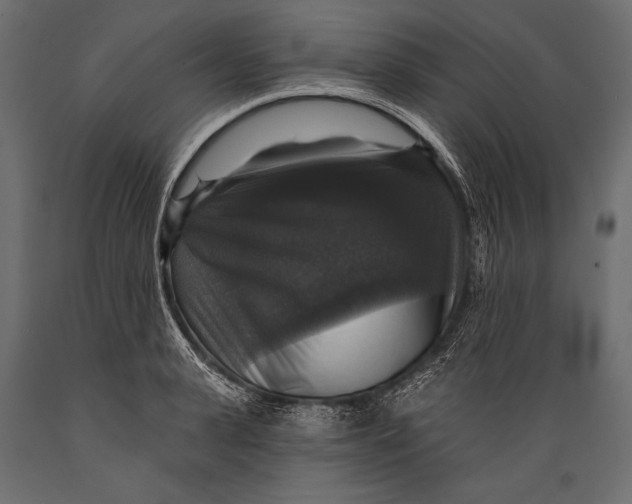 X0000088850943200706291452