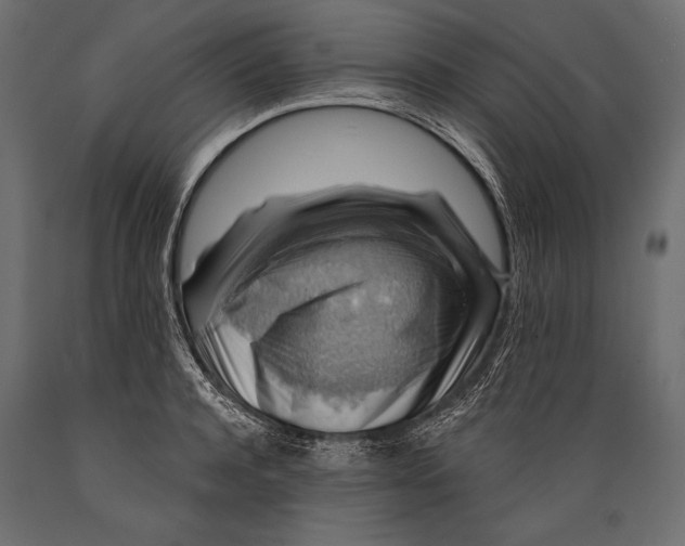 X0000088850944200706291452