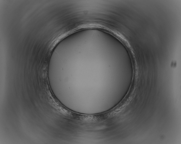 X0000088850945200706291452