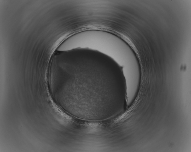 X0000088850946200706291452