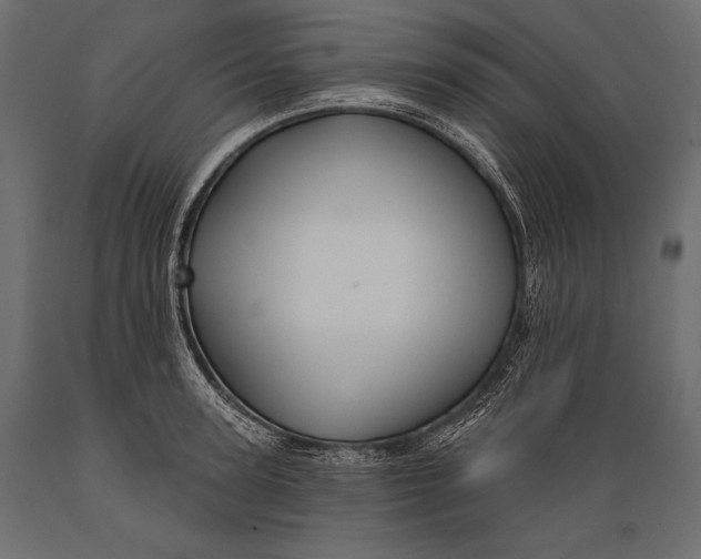 X0000088850947200706291452