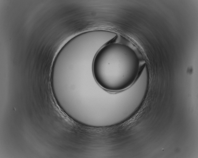 X0000088850948200706291452