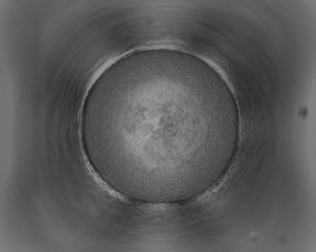 X0000088850949200706291452