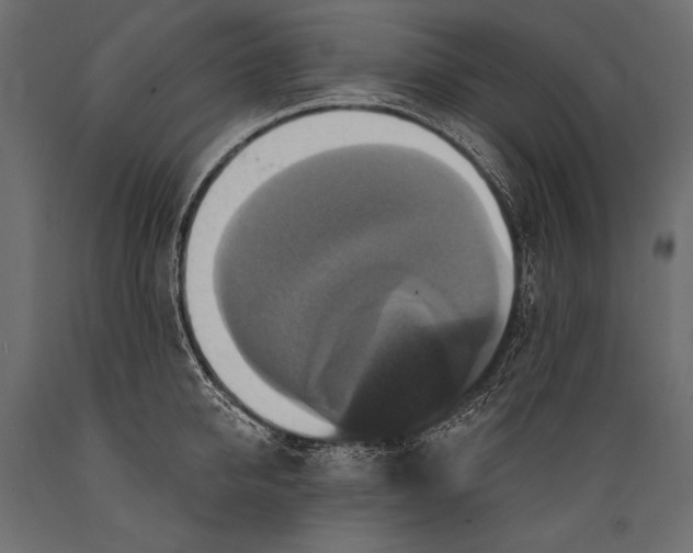 X0000088850950200706291452