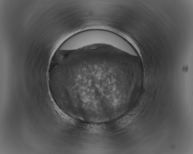 X0000088850951200706291452