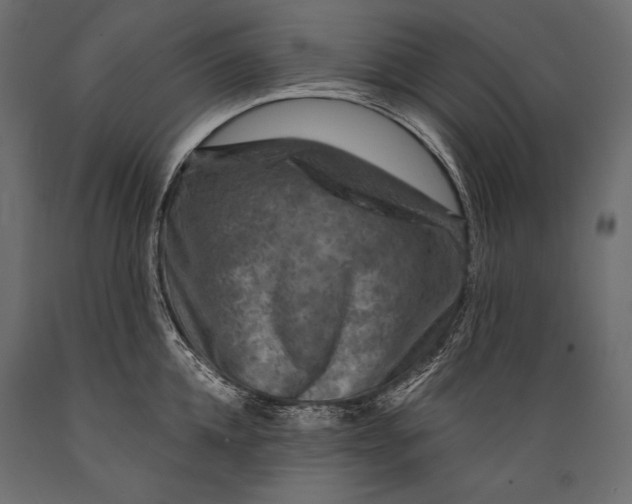 X0000088850952200706291452