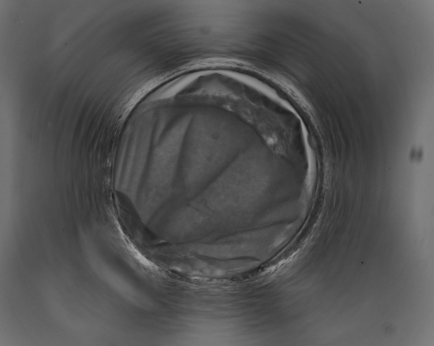 X0000088850953200706291452