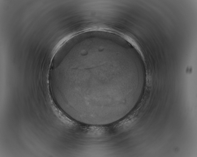 X0000088850954200706291452