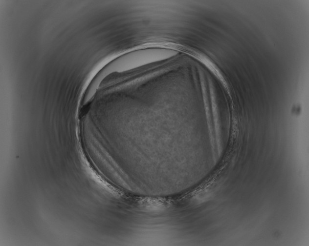 X0000088850955200706291452