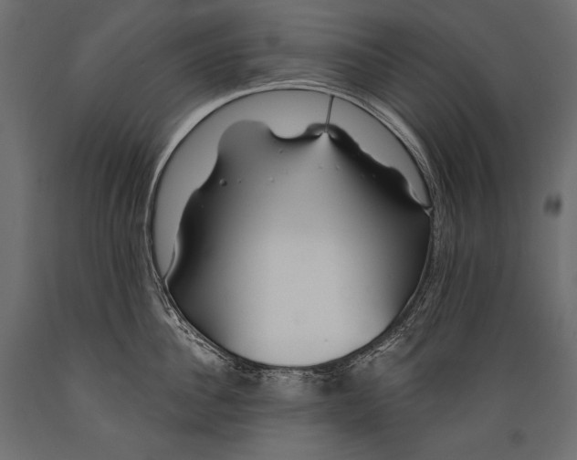 X0000088850956200706291452