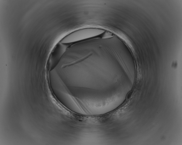 X0000088850958200706291452