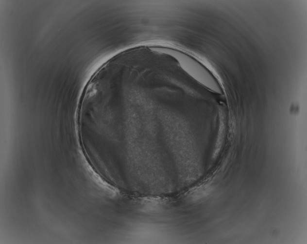 X0000088850959200706291452