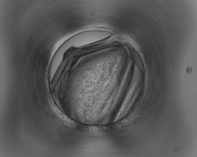 X0000088850960200706291452