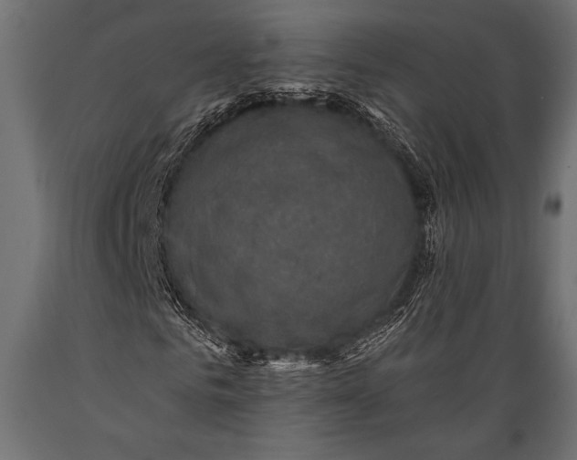 X0000088850961200706291451