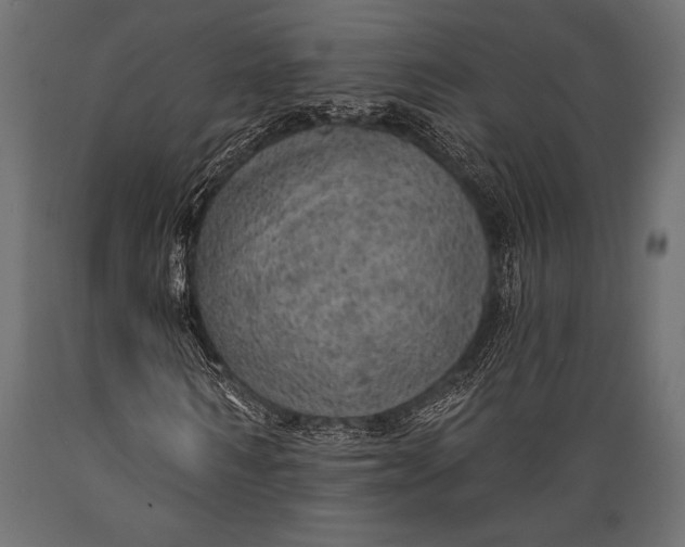 X0000088850962200706291451