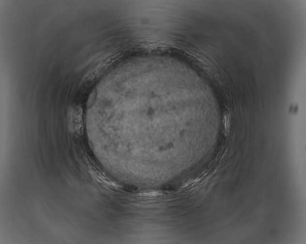 X0000088850963200706291451