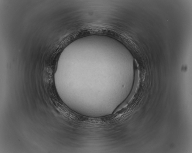 X0000088850964200706291451