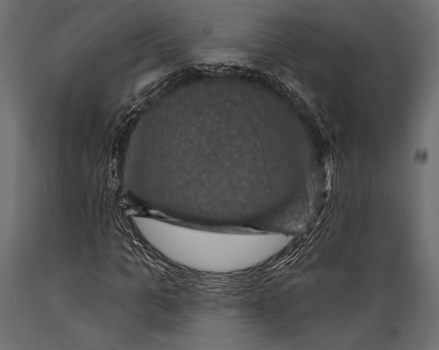 X0000088850965200706291451