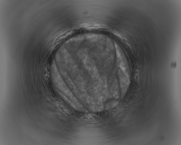 X0000088850966200706291451