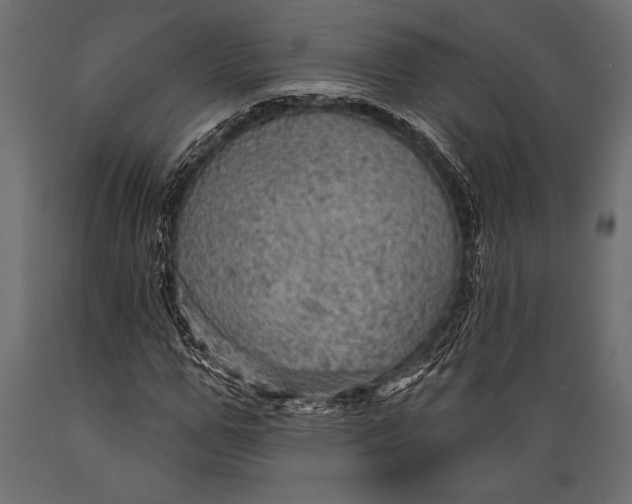 X0000088850967200706291451