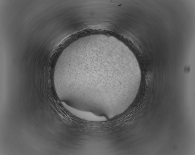 X0000088850968200706291451