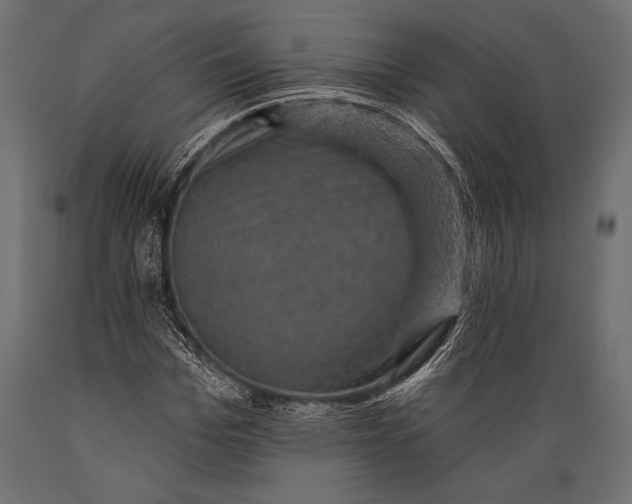 X0000088850969200706291451