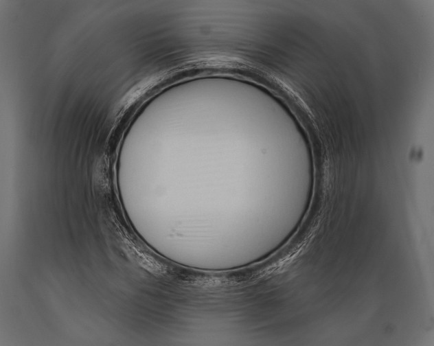 X0000088850970200706291451