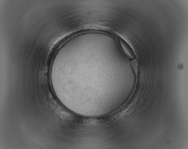 X0000088850971200706291451