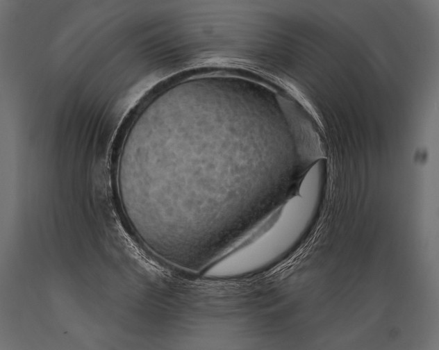 X0000088850972200706291451