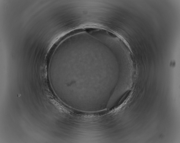 X0000088850973200706291451