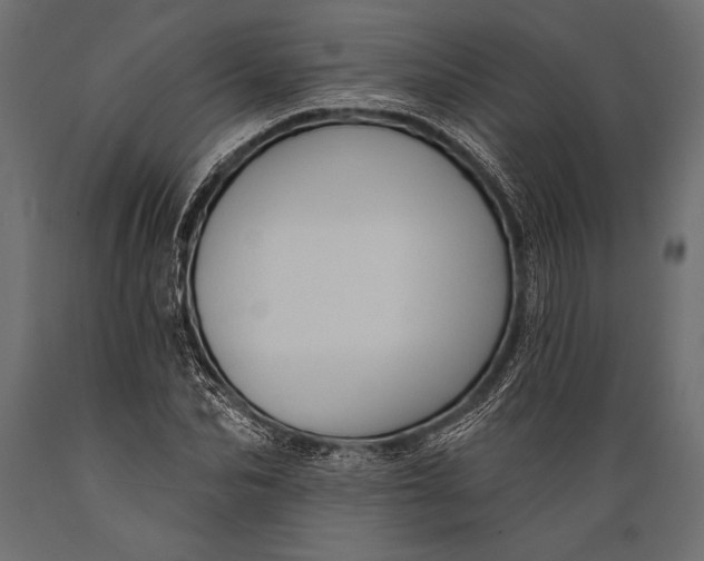 X0000088850974200706291451