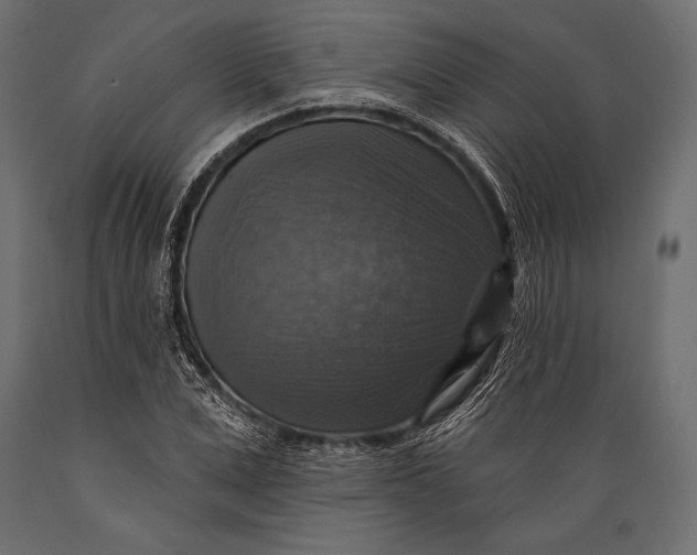 X0000088850975200706291451