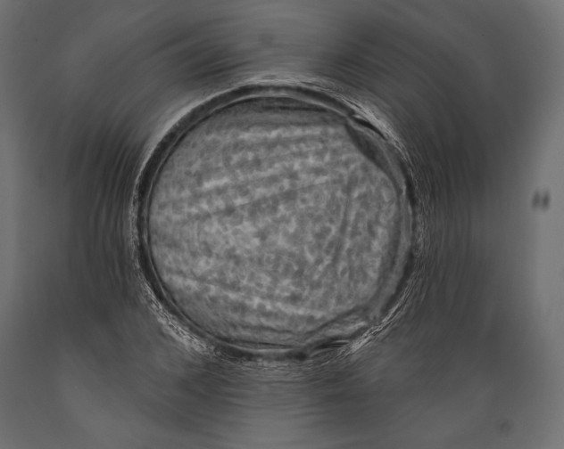 X0000088850976200706291451